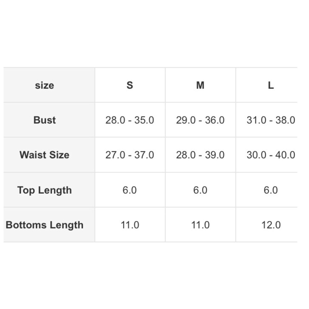 CLEARANCE Leopard High Waist Bandeau Bikini Swimsuit - Picture 5 of 5